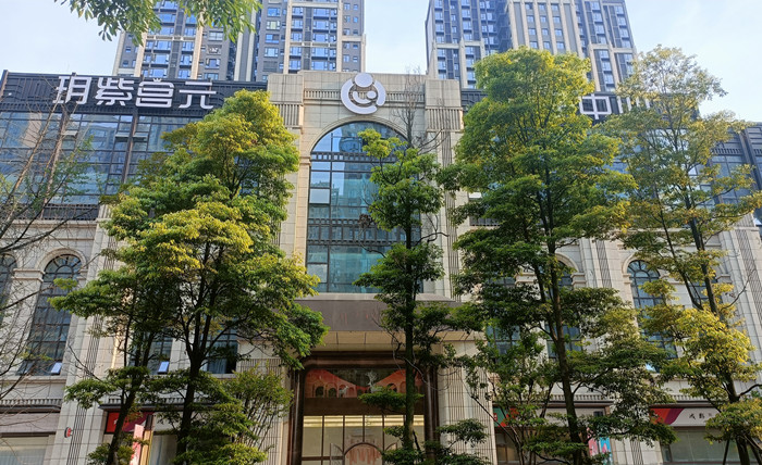 成都高新美學(xué)分院